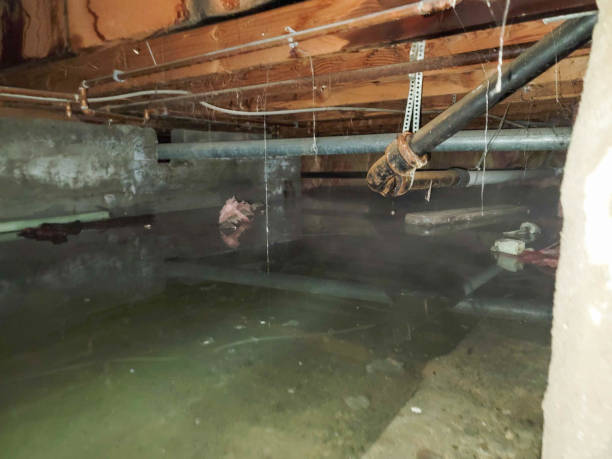 Best Flooded house restoration  in Schofield, WI