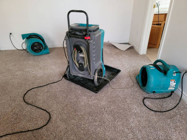 Best Professional water damage repair  in Schofield, WI