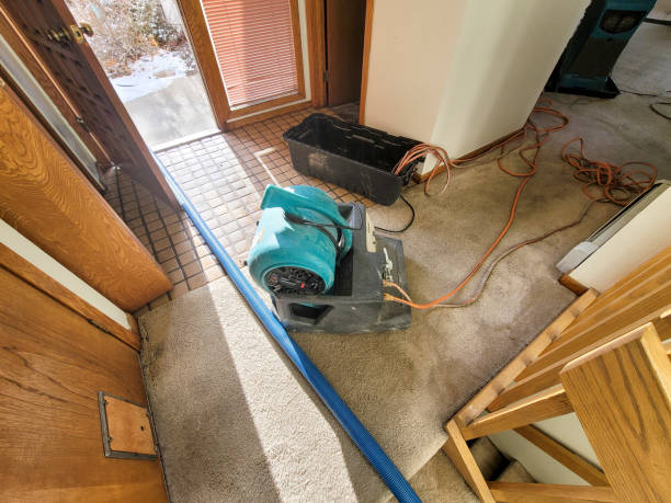 Best Water damage cleanup near me  in Schofield, WI