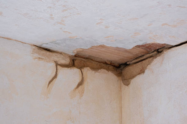 Best Water damage restoration near me  in Schofield, WI