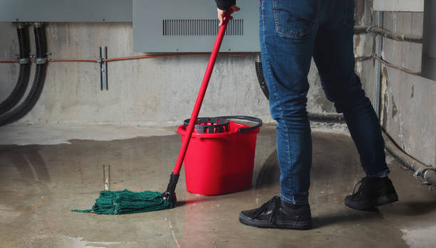Water damage restoration mold remediation in Schofield, WI