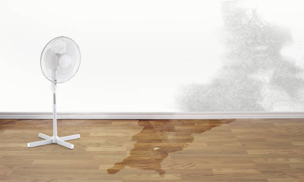 Best 24/7 water damage repair  in Schofield, WI