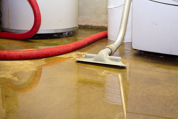 Best Basement water damage restoration  in Schofield, WI