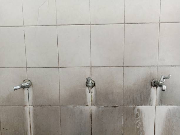Best Carpet water damage restoration  in Schofield, WI