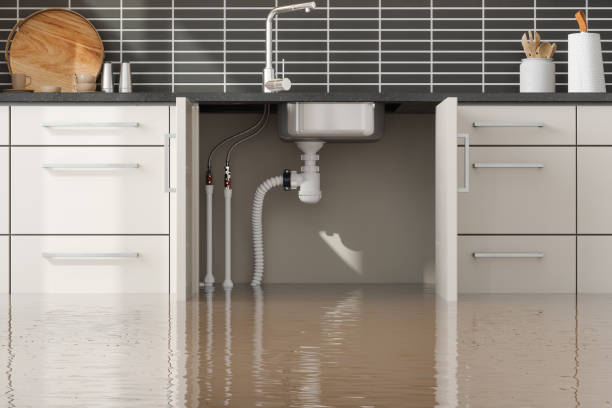 Best Water damage restoration near me  in Schofield, WI