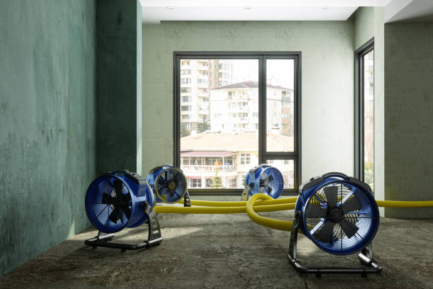 Best Commercial water damage restoration  in Schofield, WI