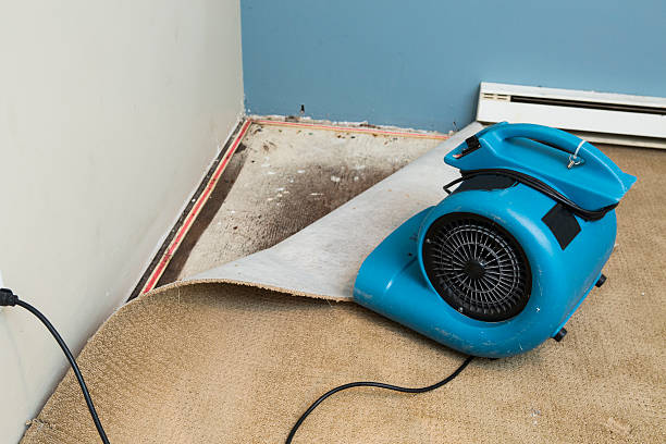  Schofield, WI Water damage restoration Pros